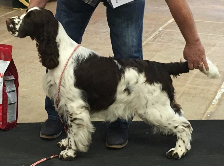 194947-3c785-103031251-m750x740-u206f0.j