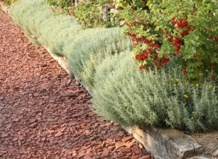 194947-46c12-103027908-m750x740-uf80e4.j