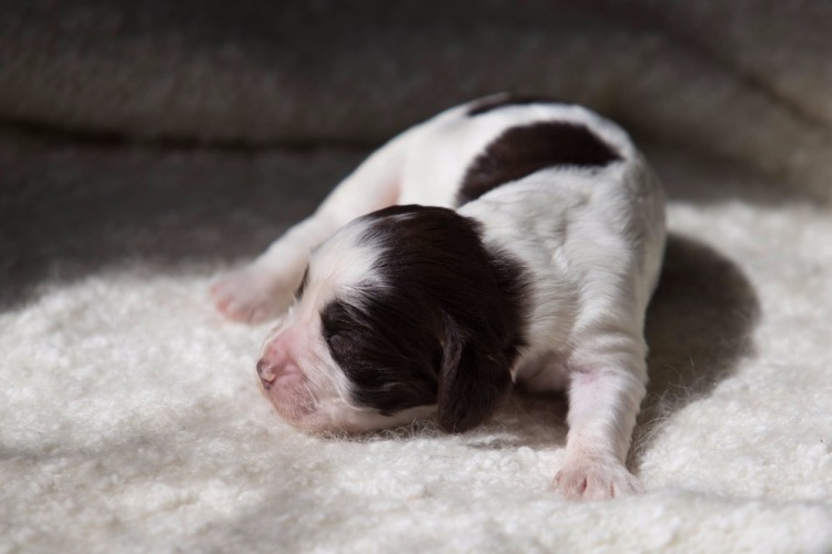 194947-5db6f-103053931-m750x740-uf3f49.j