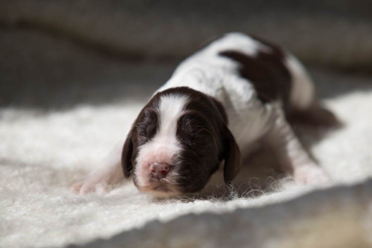 194947-69112-103053940-m750x740-ub2c9b.j