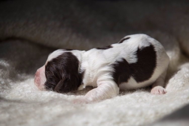 194947-69b81-103053761-m750x740-u67c5e.j