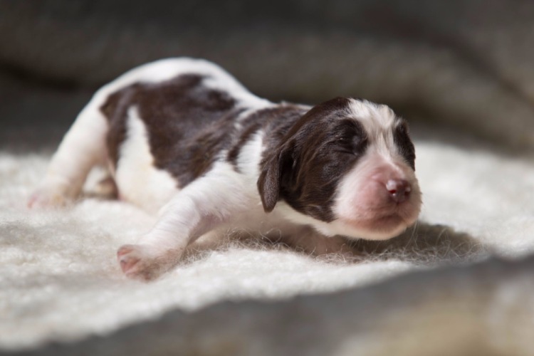 194947-8db70-103053936-m750x740-u650b0.j