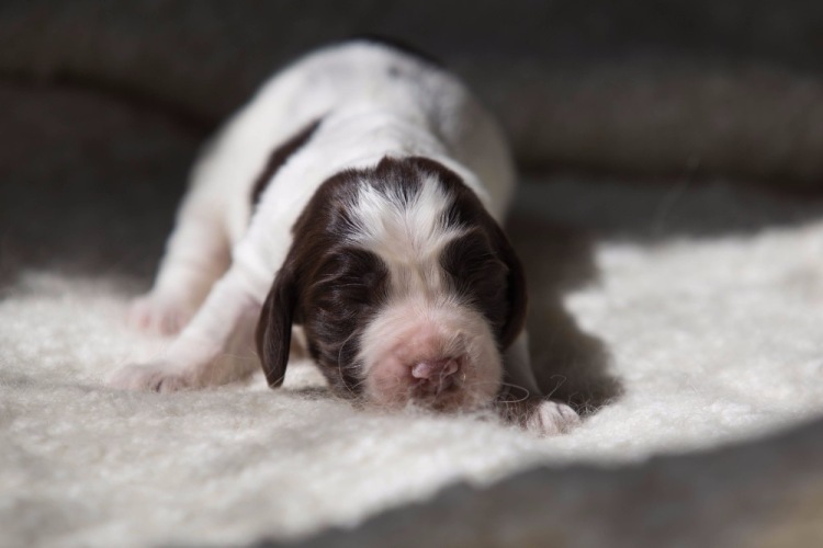 194947-8e440-103053938-m750x740-u4040e.j