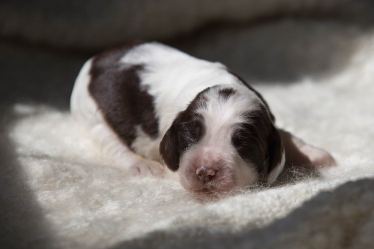 194947-948de-103053939-m750x740-ude74e.j