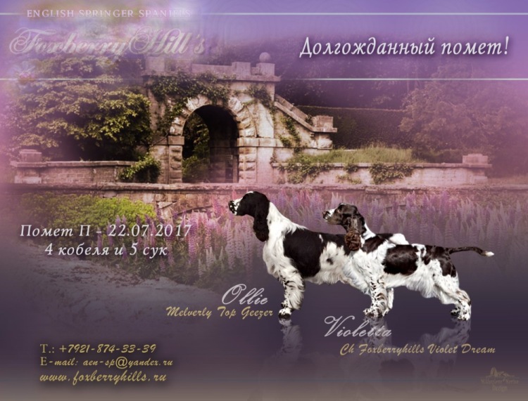 194947-b5ebe-103031255-m750x740-uecc89.j